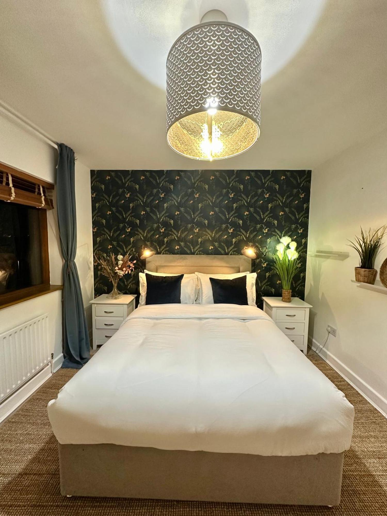 Blush Jungle - Homestay Dublin Exteriör bild