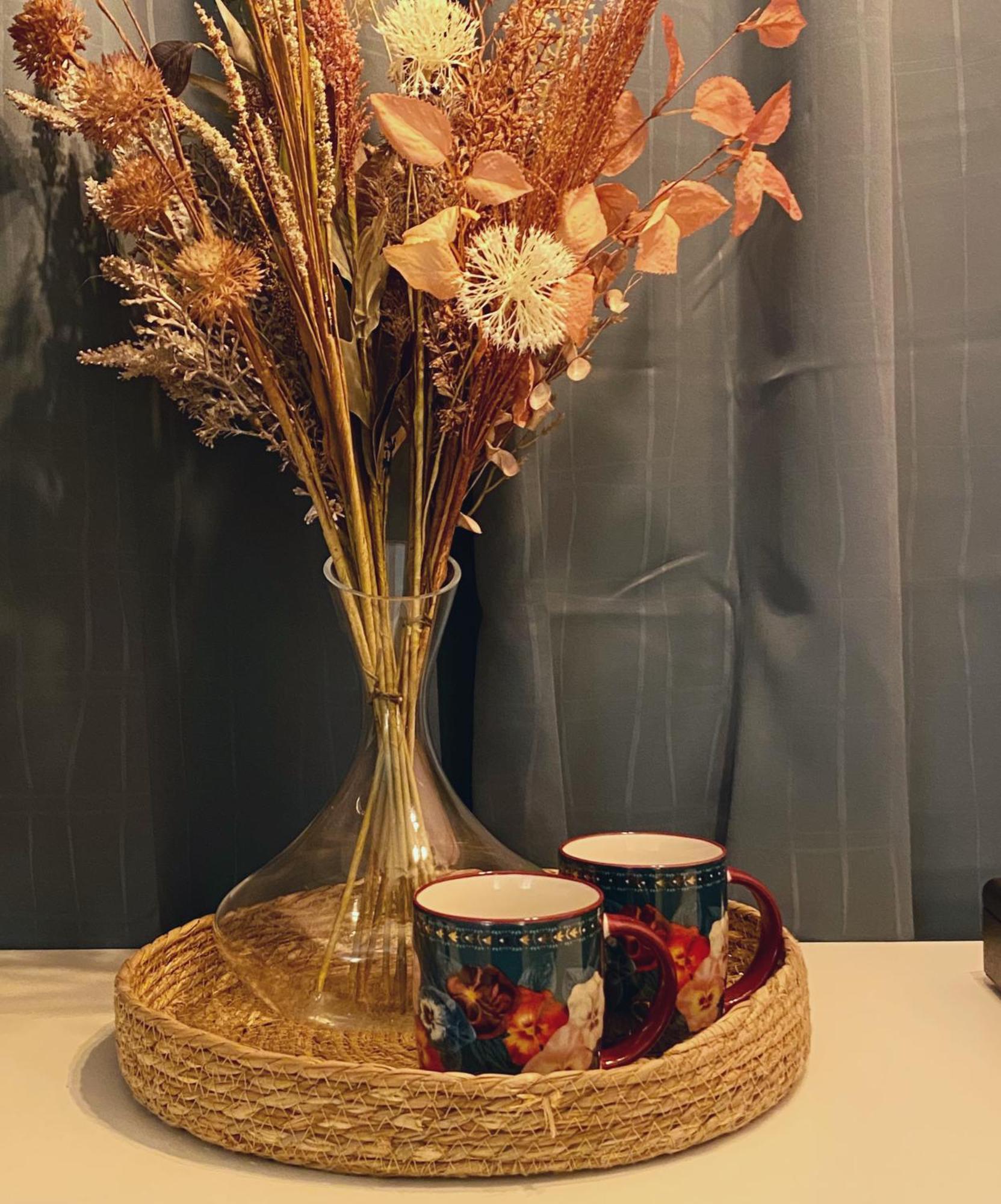 Blush Jungle - Homestay Dublin Exteriör bild